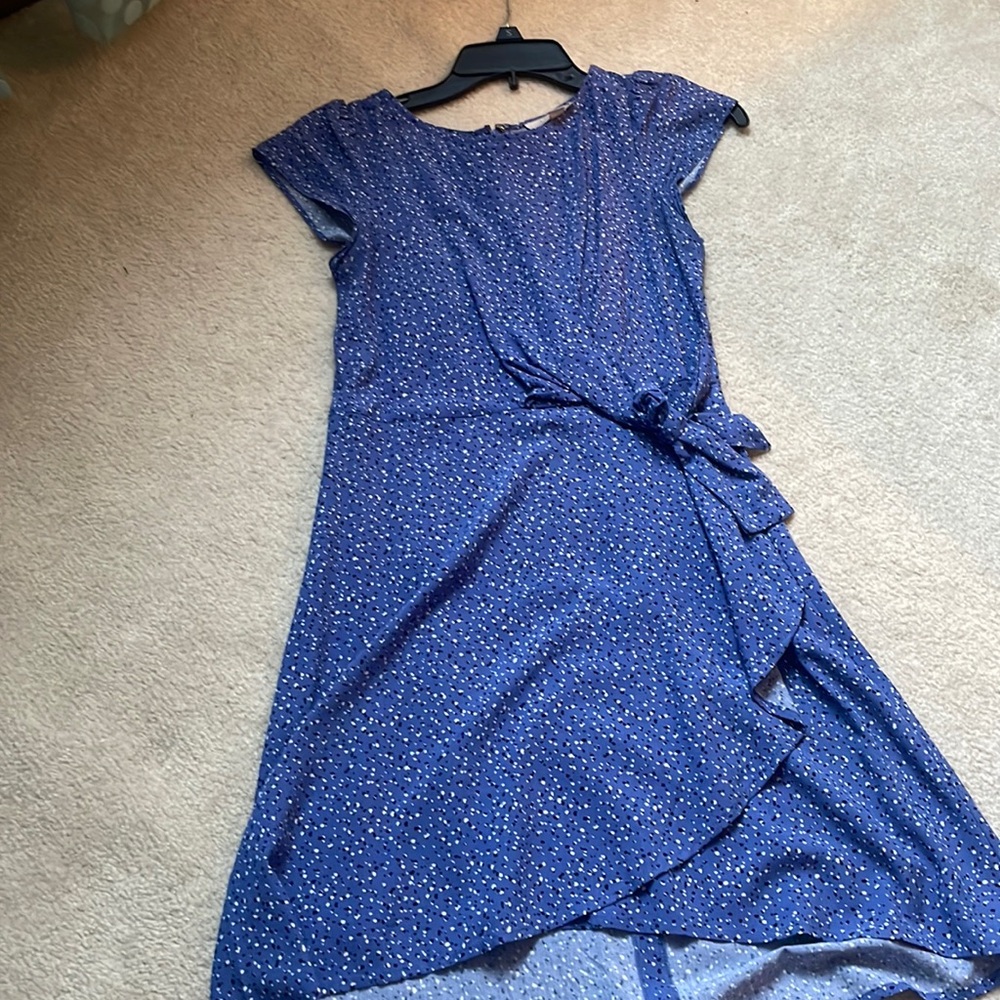 Dotted blue dress